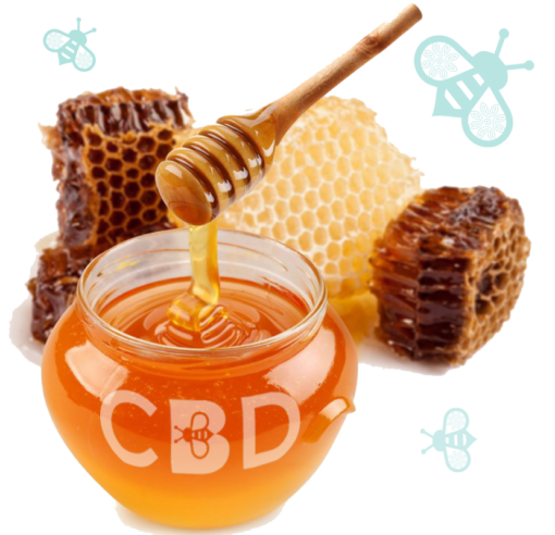 CBD HONEY